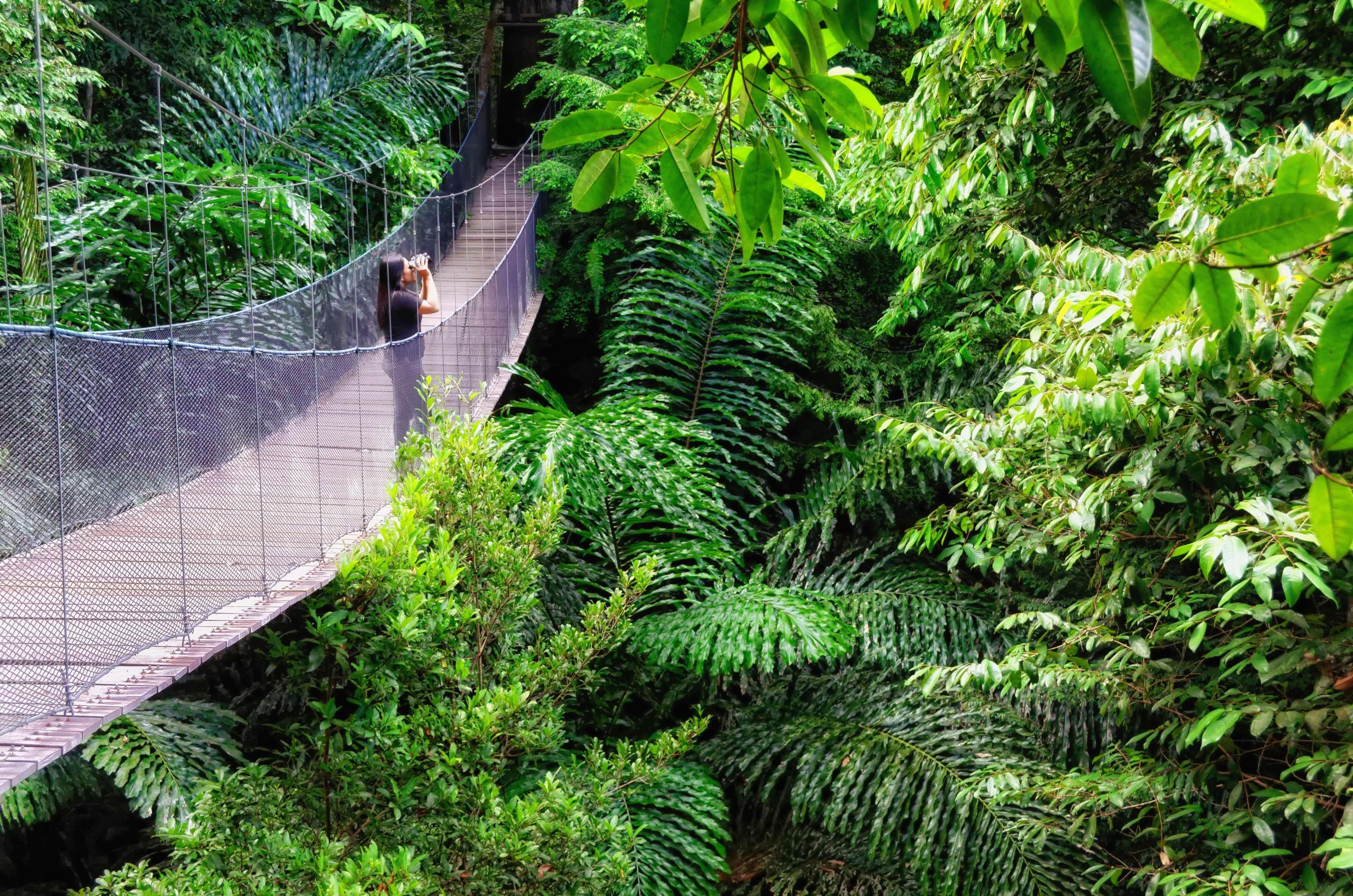 Bunga Raya Island Resort & Spa Gaya Island Exterior foto